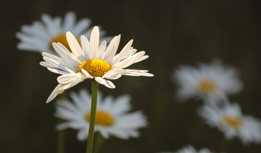 上海腦卒中患者術(shù)后康復(fù)及日常預(yù)防