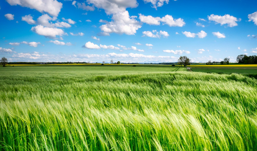 腦卒中是腦梗嗎？遇到腦卒中應(yīng)該怎樣快速處理