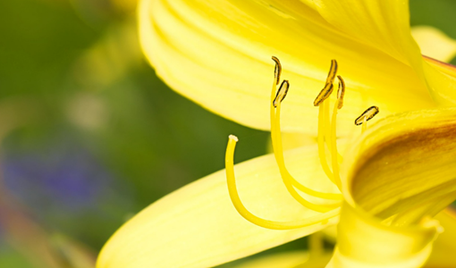 上海骨科康復(fù)科：核心治療范疇與服務(wù)方向