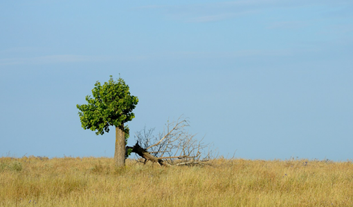 上海脊髓損傷康復(fù)治療全周期方案：從急性期干預(yù)到功能重建